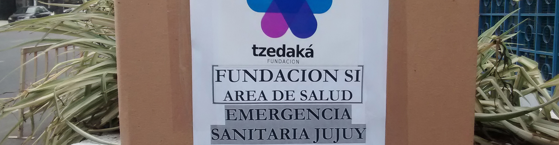 Emergencia sanitaria